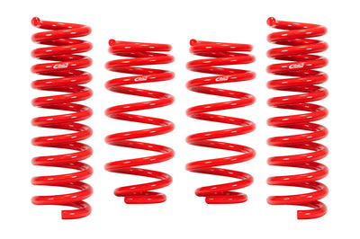 Eibach Sportline Lowering Springs for 2017+ Audi RS3 (E20-15-021-06-22)
