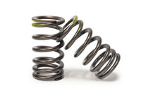 Tomei Exhaust Valve Springs for R35 GTR Image © STM Tuned Inc.