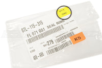 Audi OEM Water Pump O-Ring Seal for V10 R8 Huracan (07L115315)