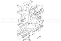 Audi OEM Intake Manifold Plenum Gasket for V10 R8 Huracan (07L129717E)
