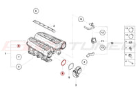 Audi OEM Throttle Body Gasket for R8 Huracan Gallardo (07L133073F)