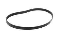 Serpentine Belt