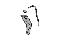 Subaru OEM Coolant Reservoir for 2022+ WRX (45150VC000)