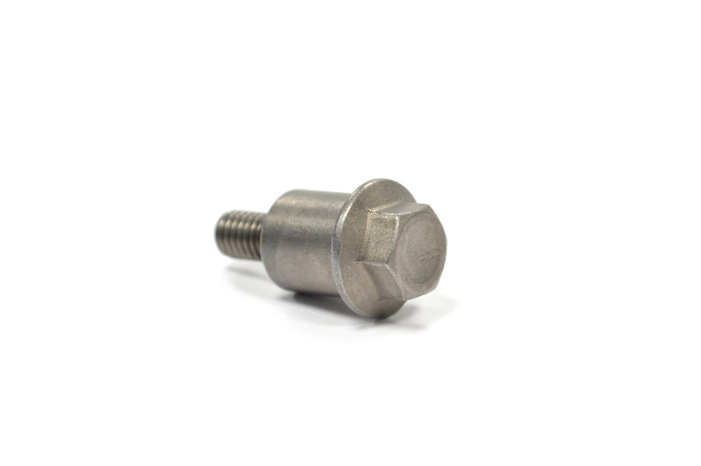 OEM Evo X Timing Chain Guide Bolt (Loose Side) (MN187029)
