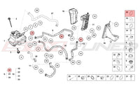 Audi OEM Oil Cooler Line Oring 26mm for Huracan (N90958101)