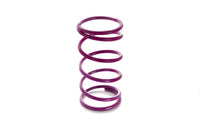 PTE Purple Wastegate Spring (PBO085-1630)