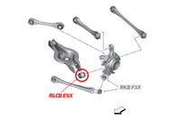 SPL Rear Lower Knuckle Bushing for F8X G8X M2/M3/M4 (RLCB E9X)