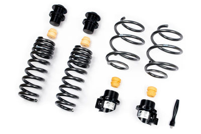 AST Adjustable Lowering Springs for 07+ Nissan GTR R35 (ASTALS-21-002)