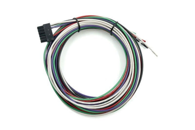 AutoMeter Wire Harness, 2-1/16
