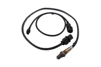 Innovate Motorsports Bosch LSU 4.9 Wideband O2 Sensor And 3 ft. Sensor Cable Kit (38960)