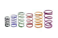 PTE Wastegate Springs for PW40