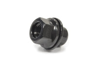 Single Black Lug Nut