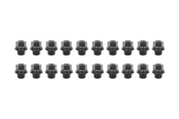 Set of 20 Lug Nuts