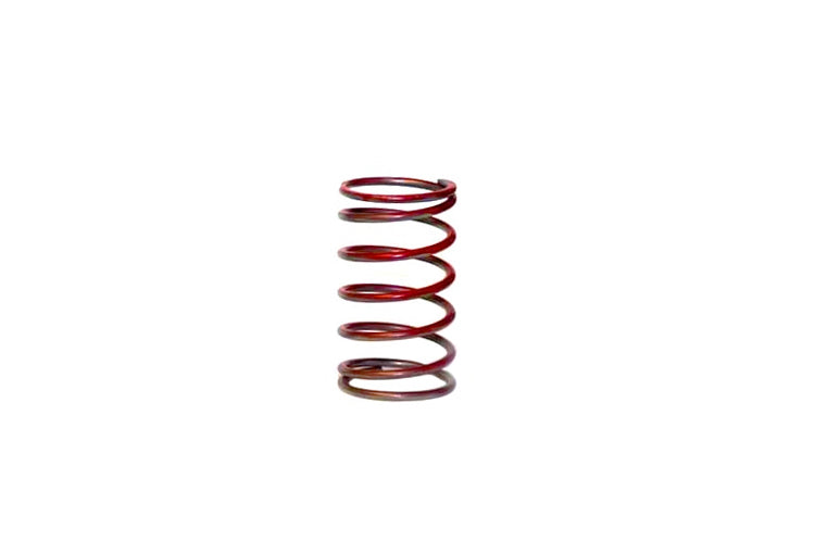 W40 Spring TiAL Sport Wastegate Springs for F38/F41/F46/V60