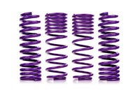 D2 Lowering Springs for Mitsubishi Evo X (D-SP-MT-24)