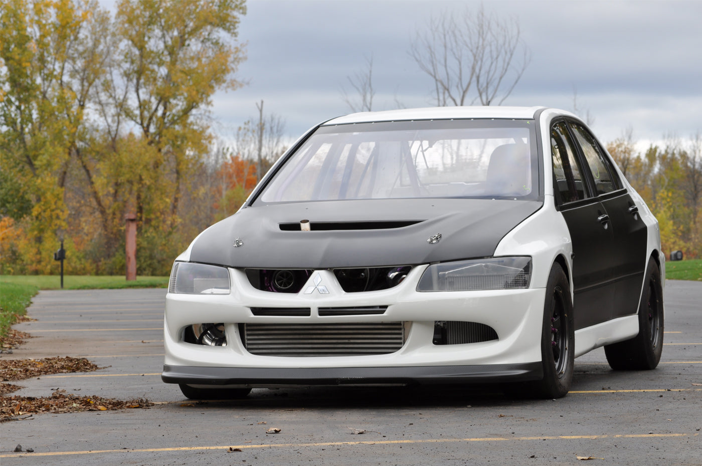 DD0305MITEVO8-R-seibon-gloss-